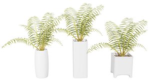 3D palm tree pots