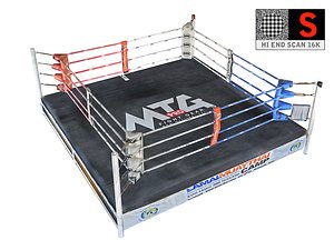Real Ring -Boxing Muay Thai