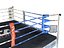 Real Ring-Boxing Muay Thai