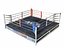 Real Ring-Boxing Muay Thai
