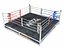 Real Ring-Boxing Muay Thai