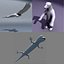 animals lizard penguin 3d model