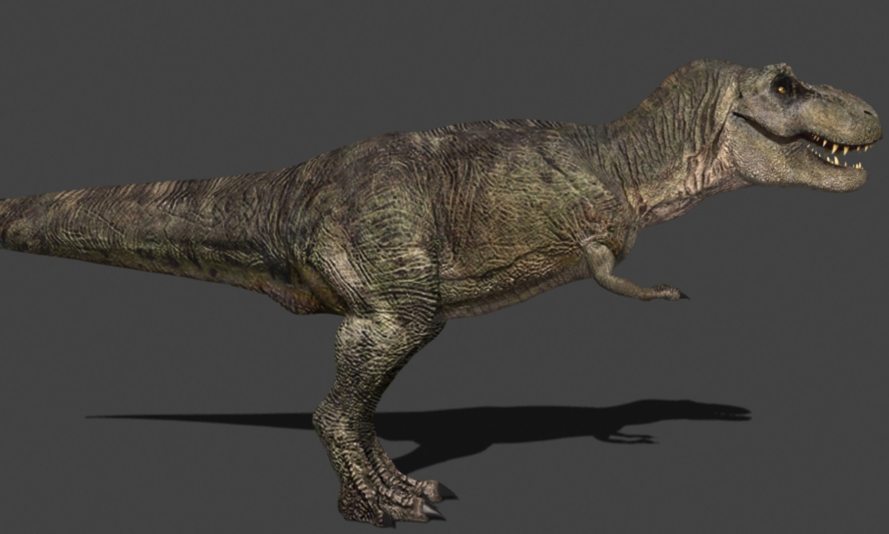 google dinosaur t-rex 3D Model in Computer 3DExport