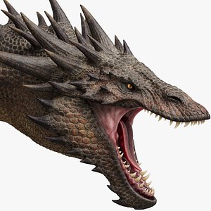 3D Dragon Adult No Rig