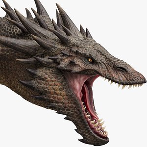 Dragon Adult No Rig