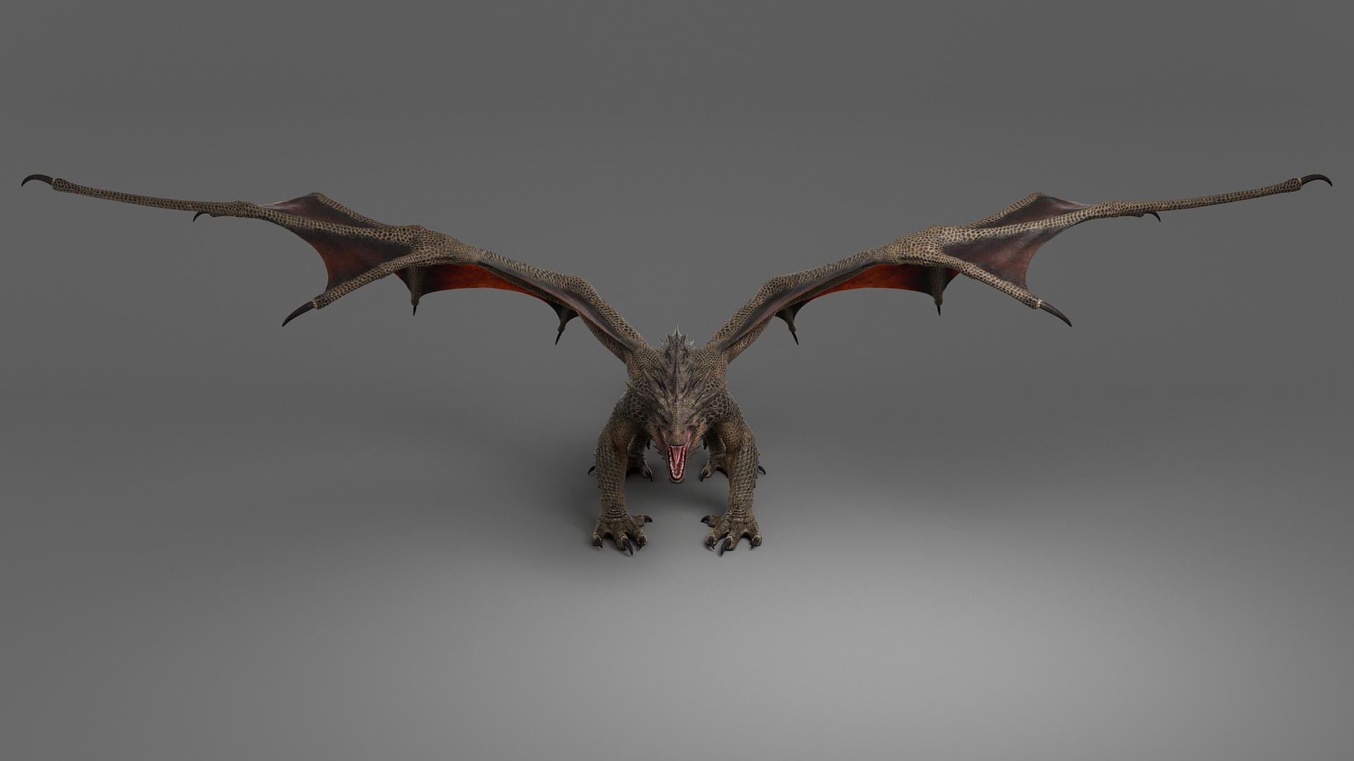 3d Dragon Adult No Rig - Turbosquid 2014073