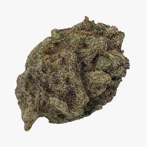 marijuana bud 3D