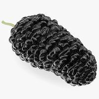 Mulberry Fruit Black