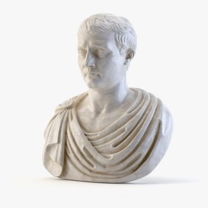Napoleon Bust