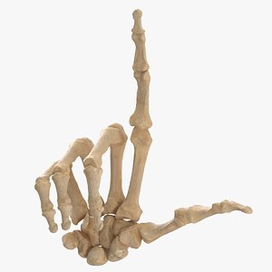 Real Human Hand Bones Loser Sign