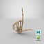 3D human hand bones loser