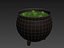 Halloween Pot