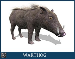 obj warthog hog