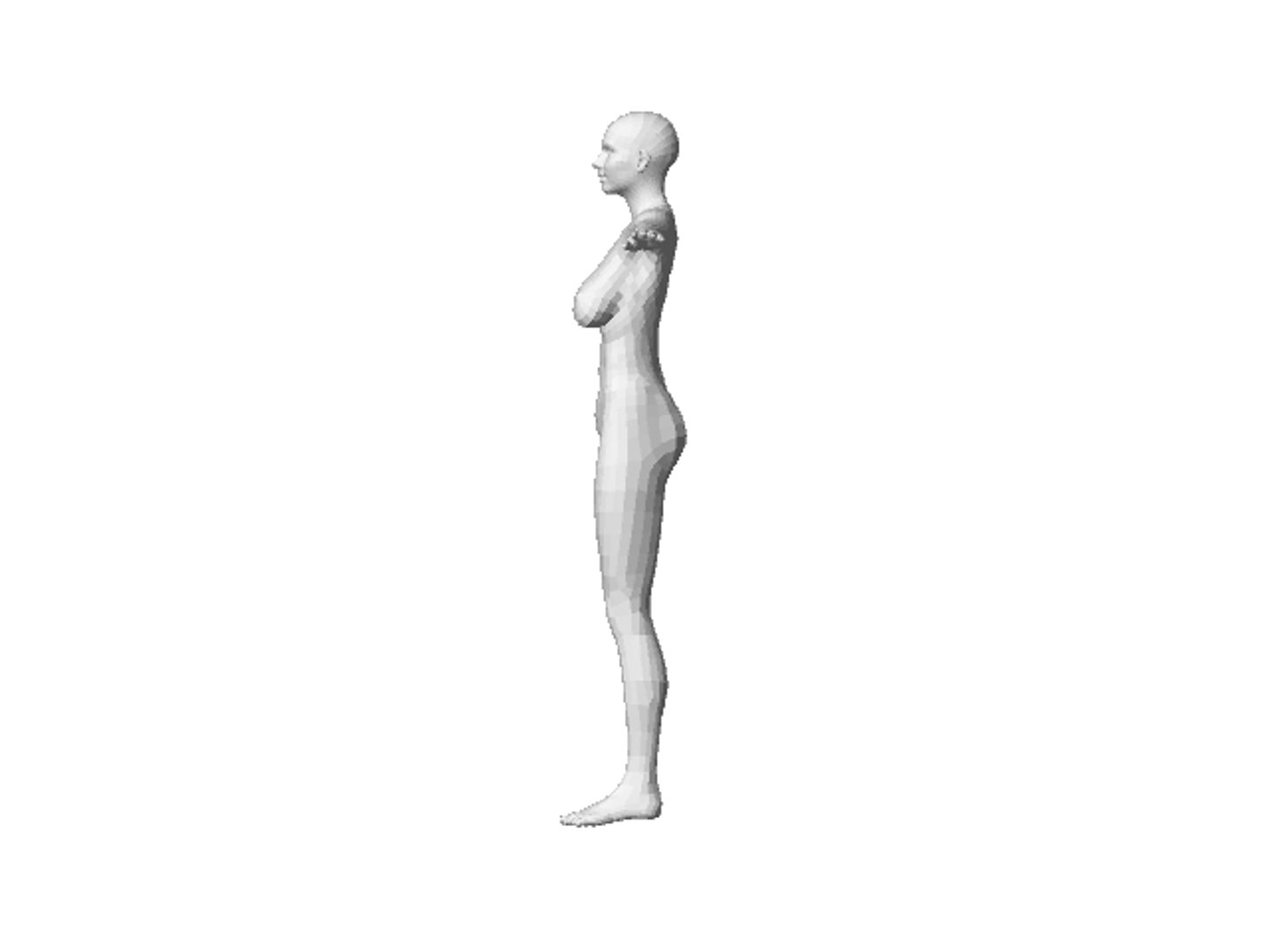 anatomically correct female 3d model https://p.turbosquid.com/ts-thumb/aE/9j7SKT/5tOlpVoD/mandi3/png/1284569861/1920x1080/fit_q87/6bf39a77227ed71f326b34fe55eb848efab63508/mandi3.jpg