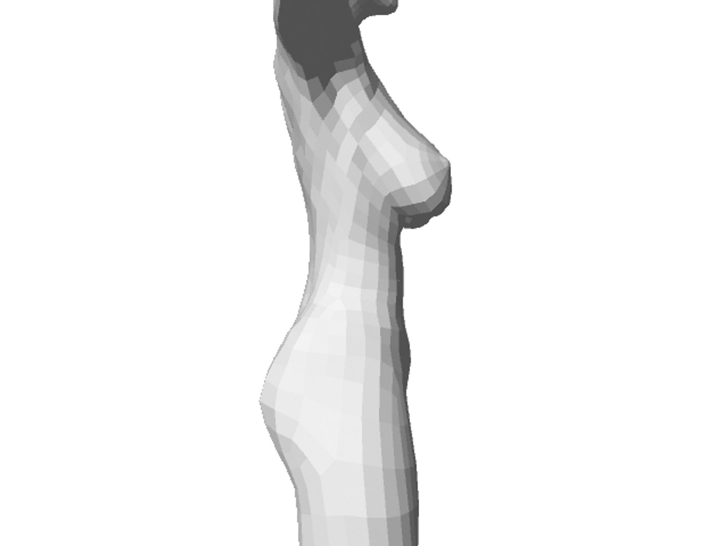 Anatomically Correct Female 3d Model 8623