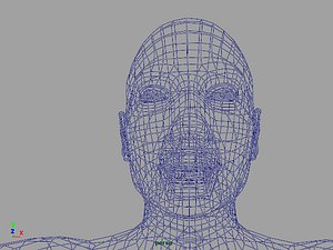 anatomically correct female 3d model