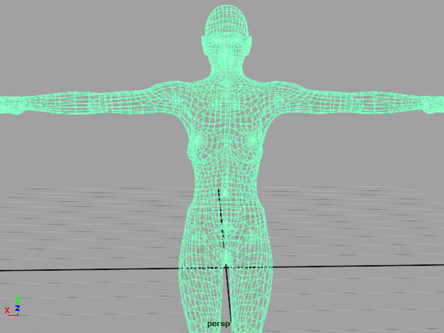 Anatomically Correct Female 3d Model