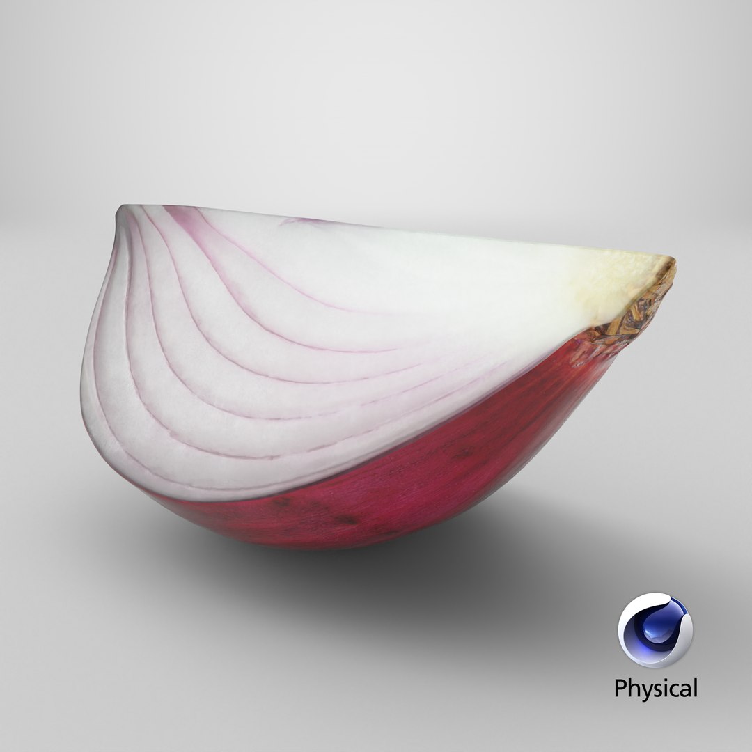 Red Onion Slice 3D model https://p.turbosquid.com/ts-thumb/aE/CARJwi/5d/stemcell_cinema_4d_physical_render/png/1700209357/1920x1080/fit_q87/4349742eeb3bd7ebb674f5a2104b5039192dc8a5/stemcell_cinema_4d_physical_render.jpg
