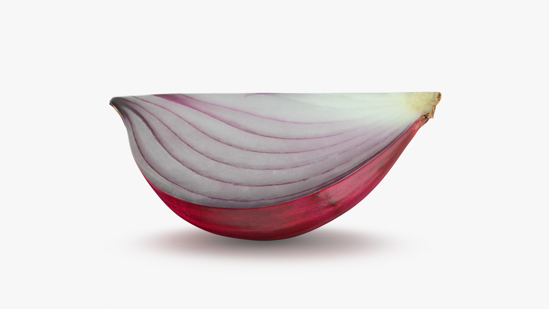 Root Vegetables Collection 3 3D https://p.turbosquid.com/ts-thumb/aE/CARJwi/CO/ronionslice_b0000/jpg/1788467078/1920x1080/fit_q87/e923e7aad429625c4d619d5617ec6f2cca461fee/ronionslice_b0000.jpg