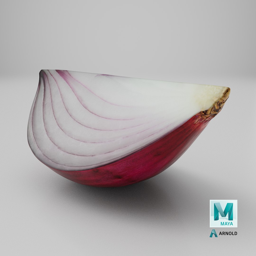 Red Onion Slice 3D model https://p.turbosquid.com/ts-thumb/aE/CARJwi/GZ/stemcell_maya_arnold_render/png/1700209349/1920x1080/fit_q87/a3a42e86001f8d0f0e87df6d905837d3bbc4ac26/stemcell_maya_arnold_render.jpg