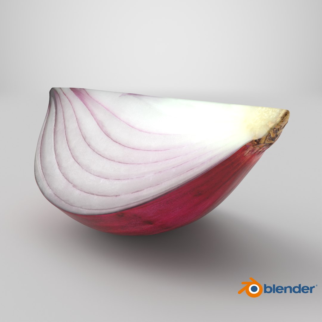 Red Onion Slice 3D model https://p.turbosquid.com/ts-thumb/aE/CARJwi/Li/stemcell_blender_cycles_render/png/1700209346/1920x1080/fit_q87/8368551729b9087138ff815bb9d53991e05f7f18/stemcell_blender_cycles_render.jpg
