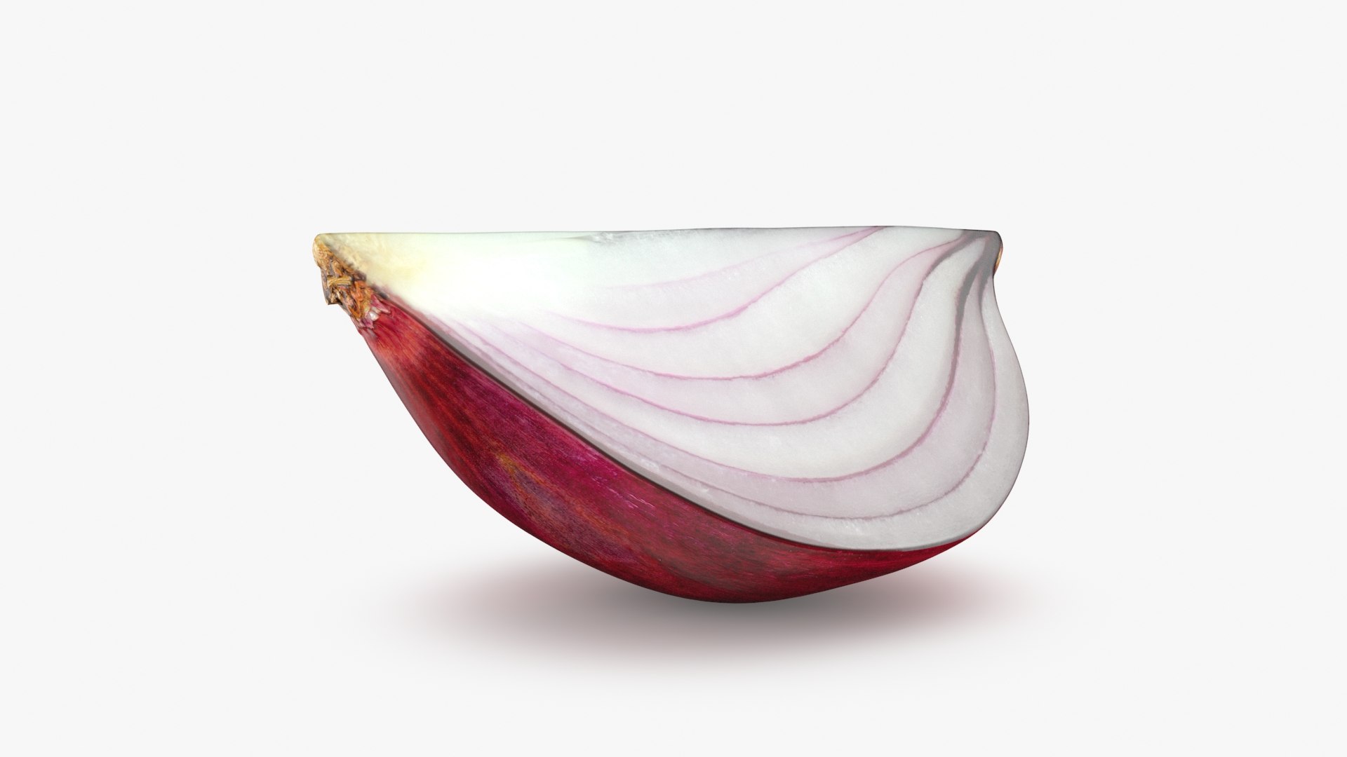 Red Onion Slice 3D model https://p.turbosquid.com/ts-thumb/aE/CARJwi/Lx/ronionslice_b0002/jpg/1699015649/1920x1080/fit_q87/cb2095a624b2f2fd57d1b45718a46fd11e332195/ronionslice_b0002.jpg