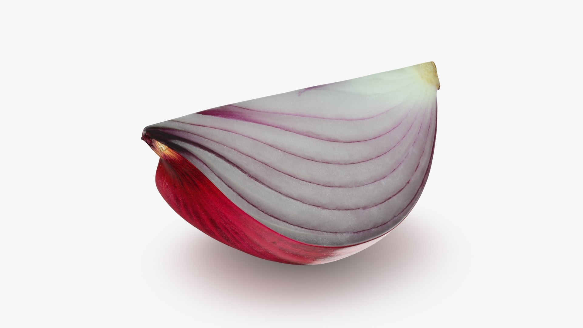 Red Onion Slice 3D model https://p.turbosquid.com/ts-thumb/aE/CARJwi/UI/ronionslice_b0006/jpg/1699015651/1920x1080/fit_q87/d4a91118b12e7688afee202c5792d735300b41f3/ronionslice_b0006.jpg