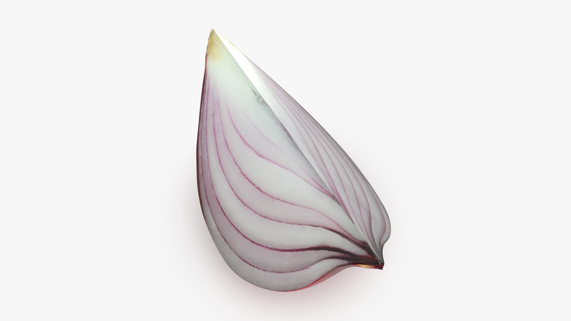 Red Onion Slice 3D model https://p.turbosquid.com/ts-thumb/aE/CARJwi/ZV/ronionslice_b0004/jpg/1699015649/1920x1080/fit_q87/57bae6623bc69e5428b9913d556b7692c426b961/ronionslice_b0004.jpg