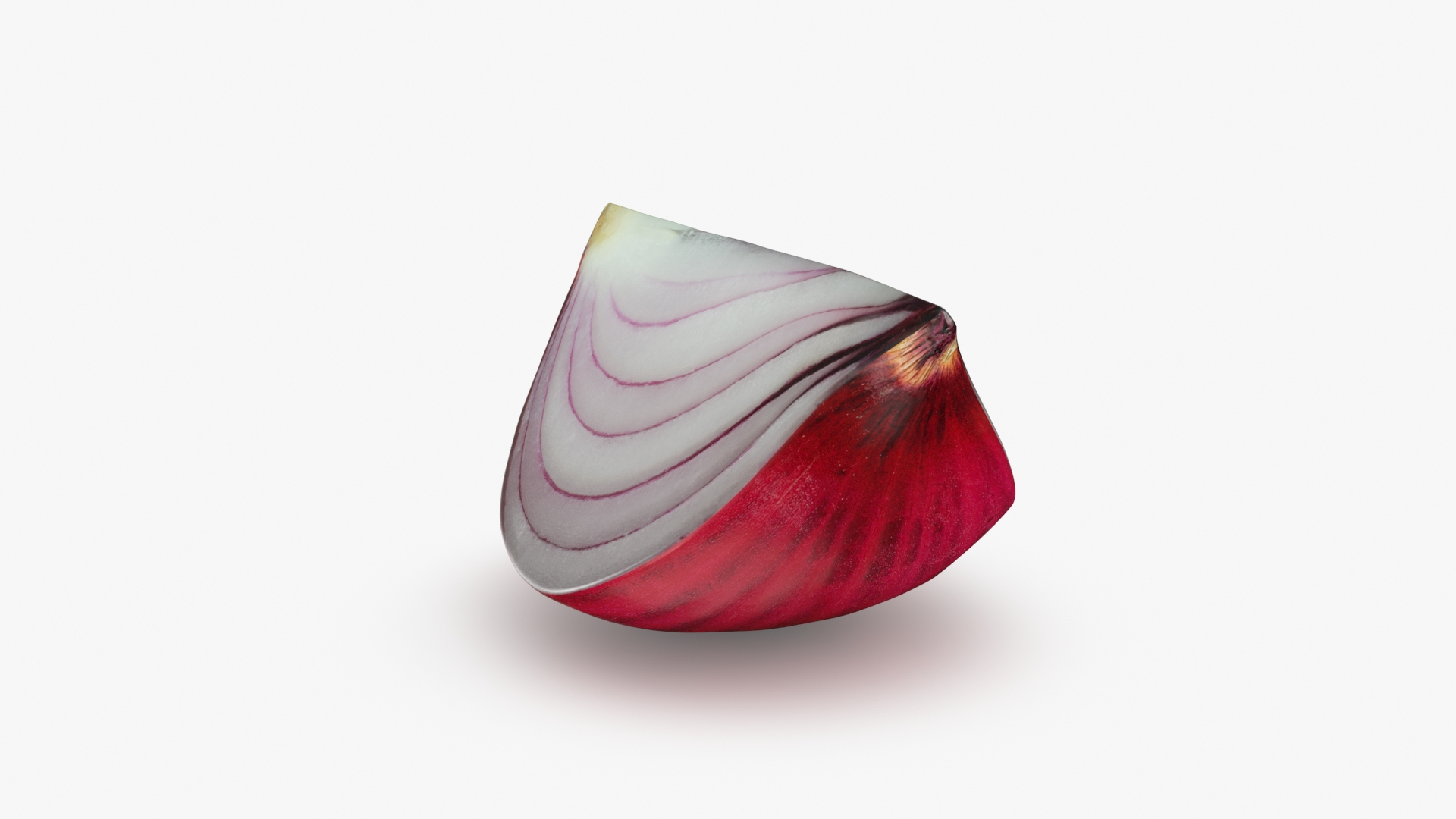 Red Onion Slice 3D model https://p.turbosquid.com/ts-thumb/aE/CARJwi/a1/ronionslice/jpg/1699015659/1920x1080/turn_fit_q99/2eefe75dc5ee54c31135d1c5fa20840fe98dfac3/ronionslice-1.jpg