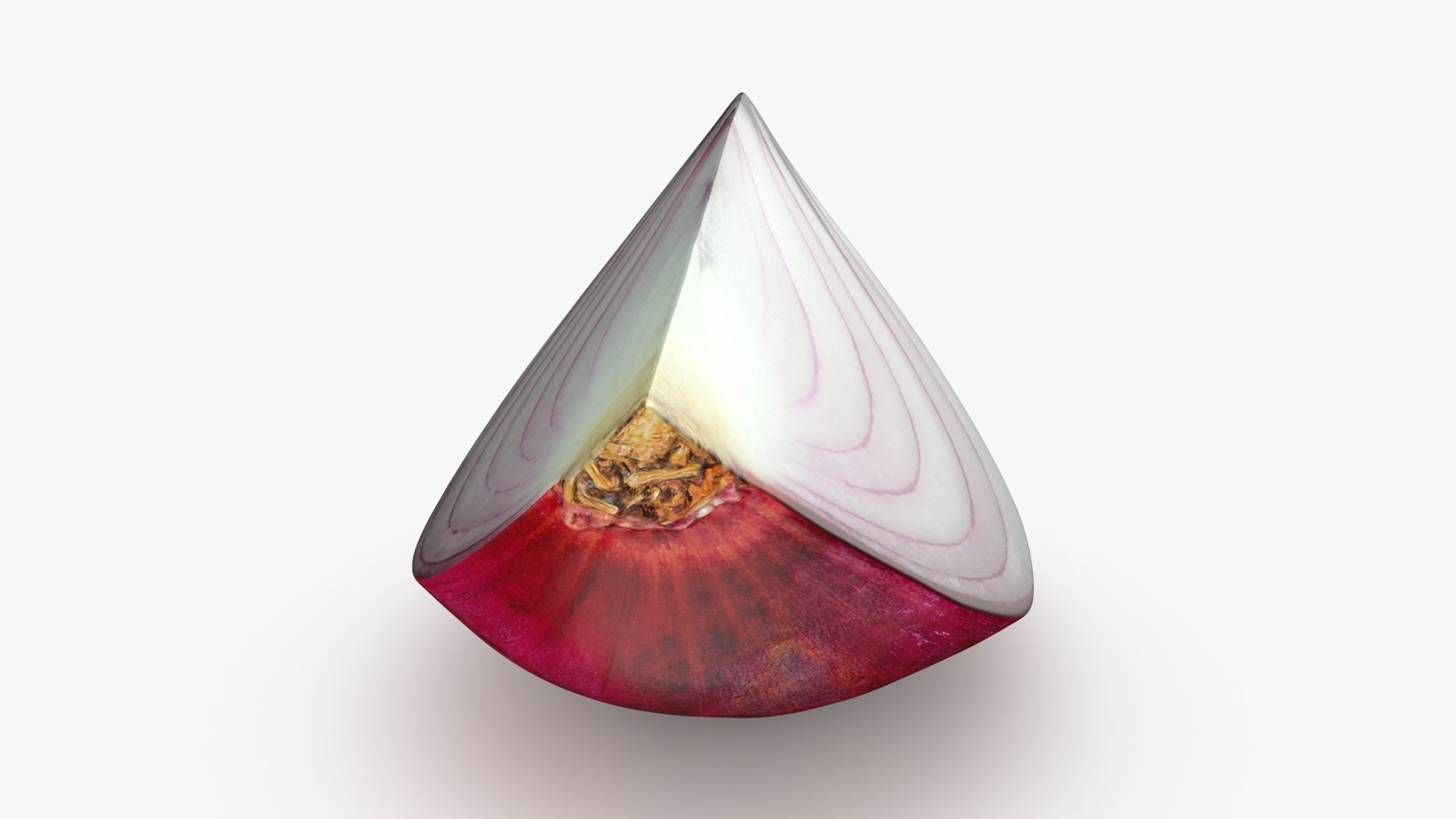 Red Onion Slice 3D model https://p.turbosquid.com/ts-thumb/aE/CARJwi/bS/ronionslice_b0014/jpg/1699015653/1920x1080/fit_q87/88acbb6de24b2cd158969bc83b25be32ff6bb372/ronionslice_b0014.jpg