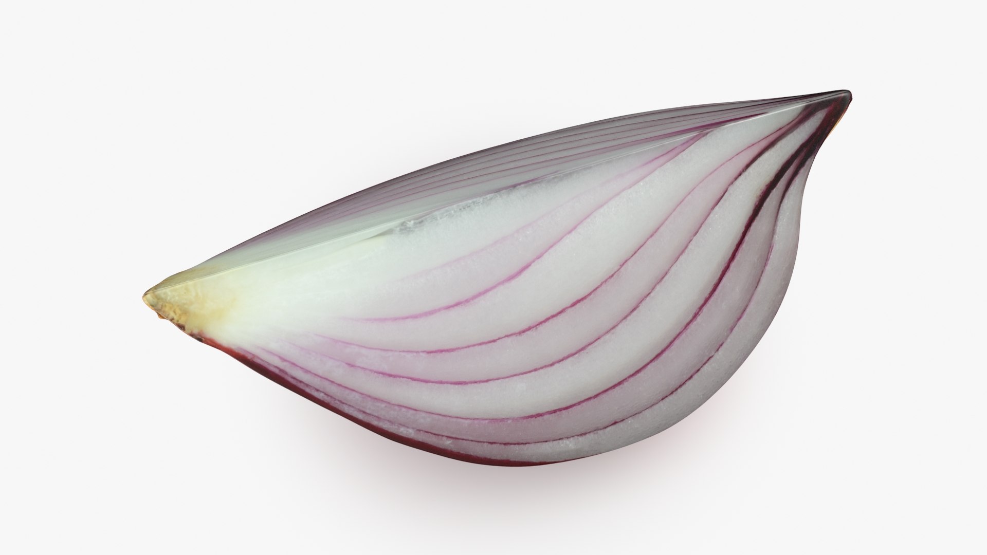 Red Onion Slice 3D model https://p.turbosquid.com/ts-thumb/aE/CARJwi/cg/ronionslice_b0010/jpg/1699015651/1920x1080/fit_q87/bfa99d6037a24ef9a81cbccf6064a56c40a83d91/ronionslice_b0010.jpg