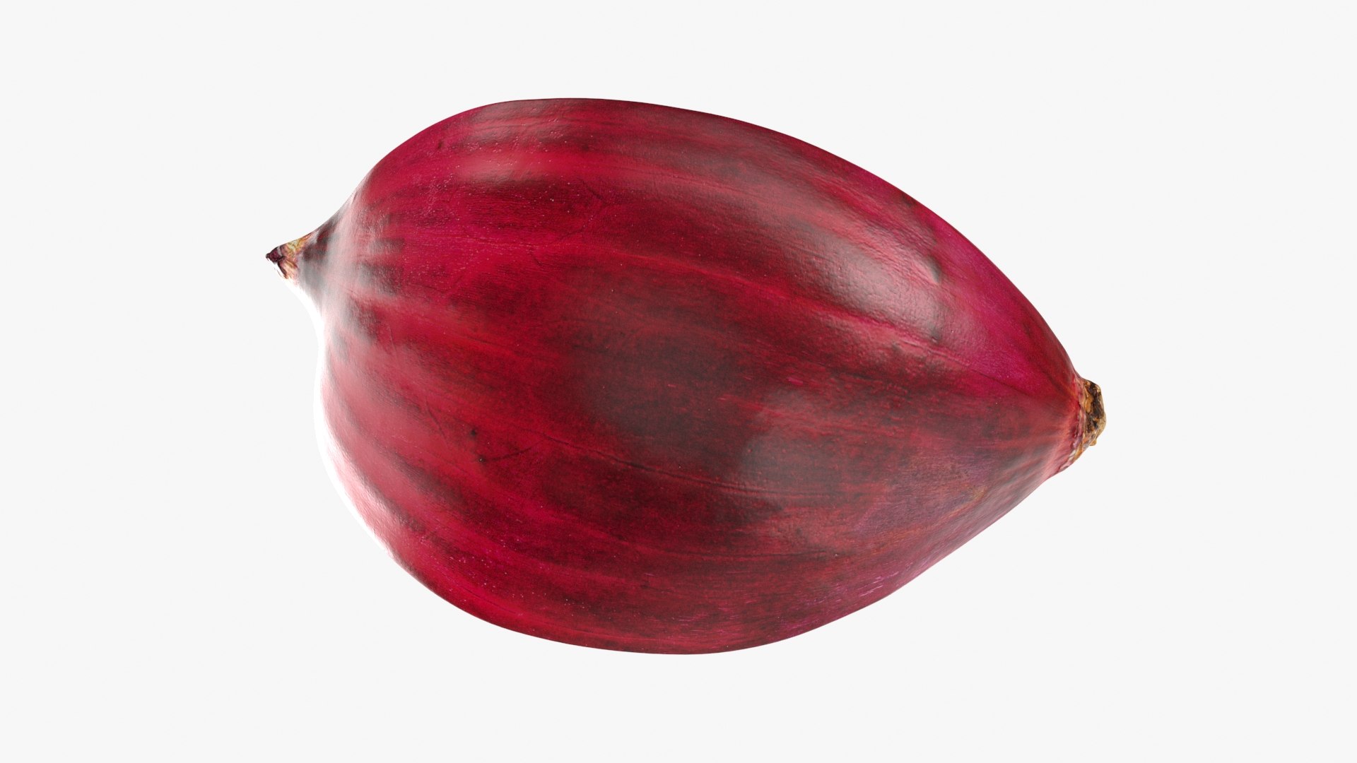 Red Onion Slice 3D model https://p.turbosquid.com/ts-thumb/aE/CARJwi/dj/ronionslice_b0018/jpg/1699015655/1920x1080/fit_q87/39091e9a111d98c462a426c49059834c1987771c/ronionslice_b0018.jpg