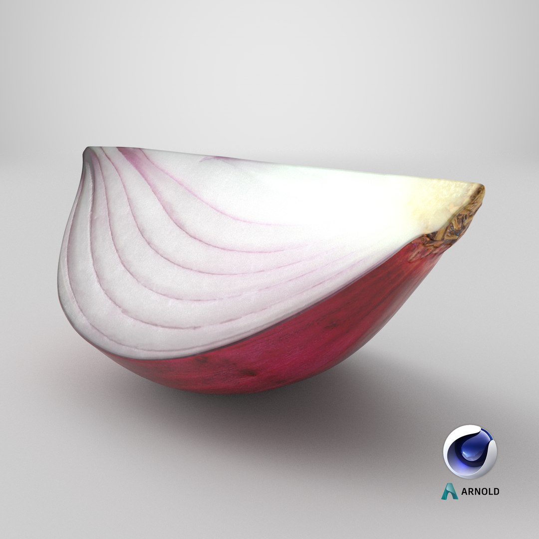 Red Onion Slice 3D model https://p.turbosquid.com/ts-thumb/aE/CARJwi/eI/stemcell_cinema_4d_arnold_render/png/1700209353/1920x1080/fit_q87/49d227874837c7ba5c9d28a254abada0302878c6/stemcell_cinema_4d_arnold_render.jpg