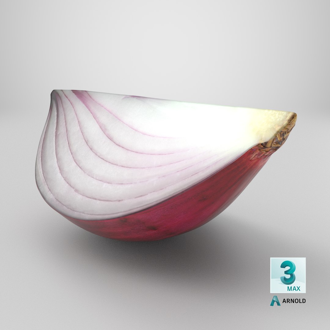 Red Onion Slice 3D model https://p.turbosquid.com/ts-thumb/aE/CARJwi/gA/stemcell_max_arnold_render/png/1700209360/1920x1080/fit_q87/647e9d98c692386643d501d5571fea7e9185f788/stemcell_max_arnold_render.jpg