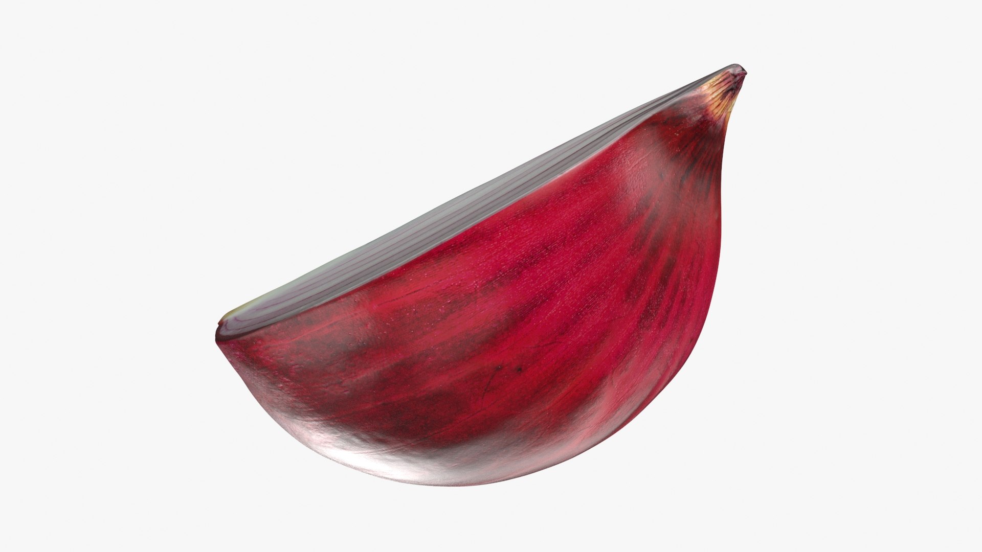 Red Onion Slice 3D model https://p.turbosquid.com/ts-thumb/aE/CARJwi/lY/ronionslice_b0016/jpg/1699015655/1920x1080/fit_q87/1b37b59ecefdcd55cddd8acc9b4279265c92a582/ronionslice_b0016.jpg