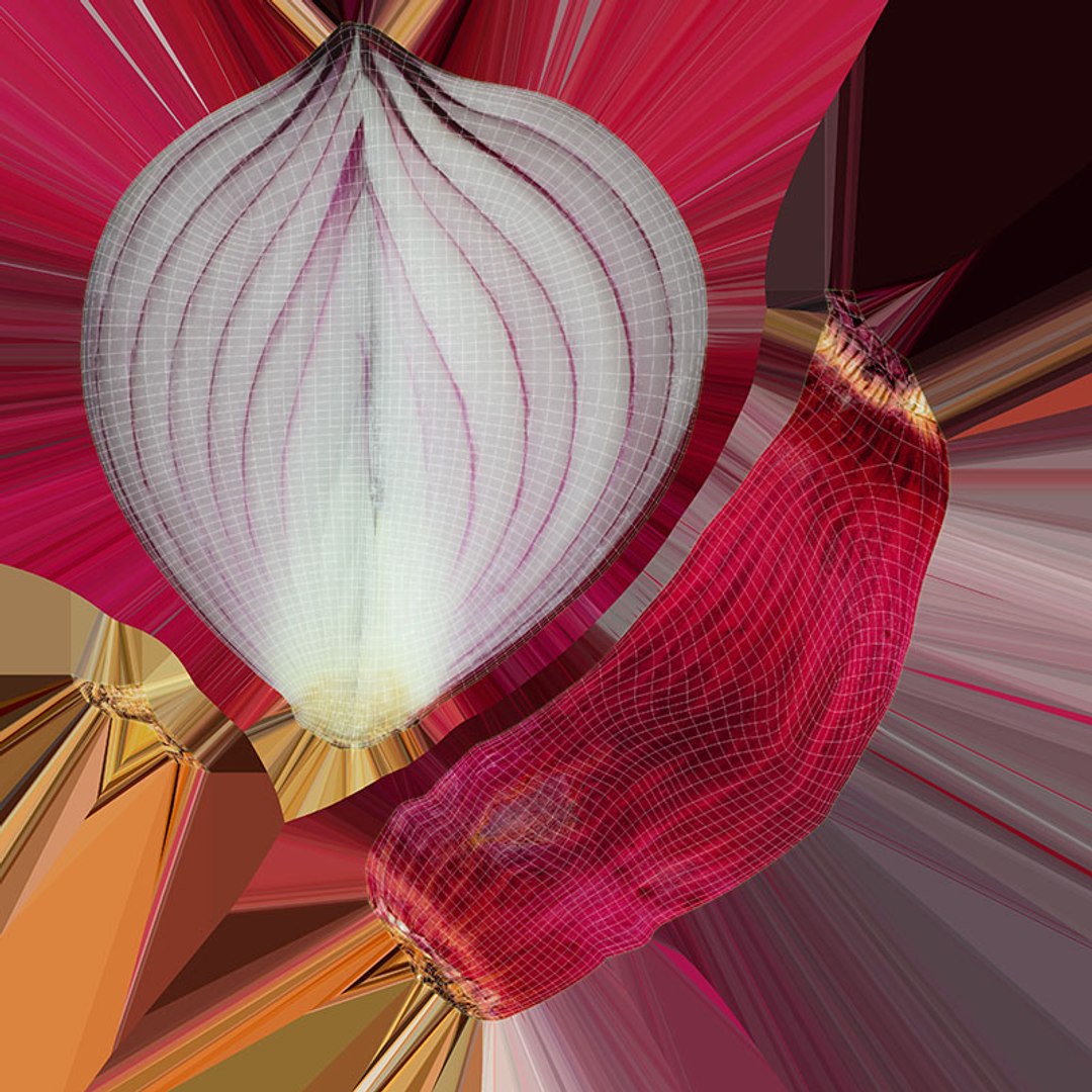 Red Onion Slice 3D model https://p.turbosquid.com/ts-thumb/aE/CARJwi/mc/ronionslice_d0004/jpg/1699015655/1920x1080/fit_q87/d149e50e25e1787ac50f464768cae5f4788e4cf6/ronionslice_d0004.jpg