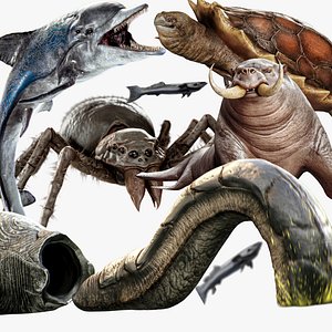 Underwater Creatures Pack 4 - WalrusSeal Spider Turtle Worm Dolphin Remora