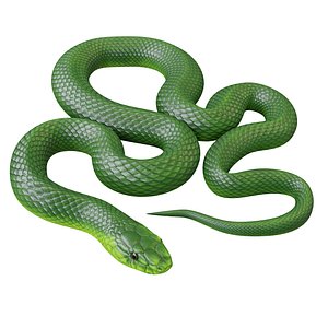 3D green mamba