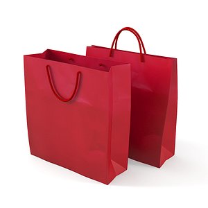 Paper Carry Retail Gift Bags