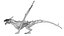 Dragon Wyvern Rigged