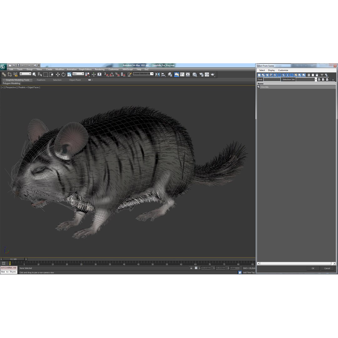 3d chinchilla fur model https://p.turbosquid.com/ts-thumb/aE/w392fv/QIMSOq28/chinchillawithfur3dmodel13/jpg/1424632302/1920x1080/fit_q87/ab6848976cafcdcc2922aa9c98f0cc52f568ea30/chinchillawithfur3dmodel13.jpg