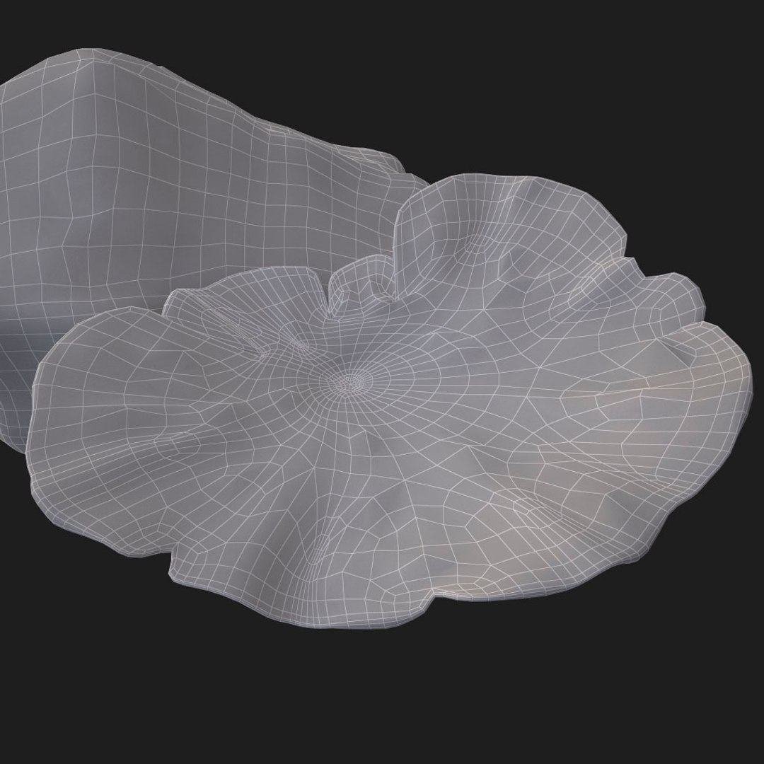 3d coral montipora https://p.turbosquid.com/ts-thumb/aE/yBfMQ7/eFm0NFnc/023/jpg/1485188685/1920x1080/fit_q87/782fcb38337ad40fb2f6354b78d10cf9a7a7a2c8/023.jpg