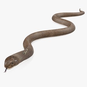 beige cobra snake crawling 3D