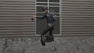 Burglar