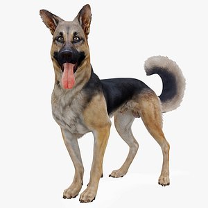 Rigged and Animated Customizable Shepherd dog 3D model