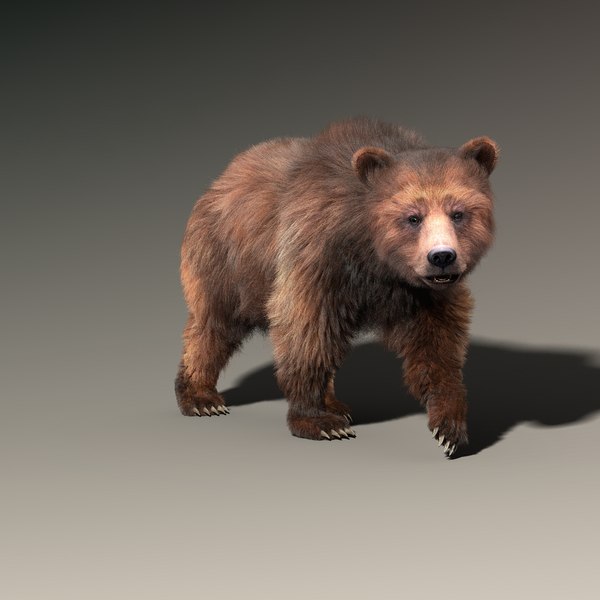 brown bear 2 fur 3d model