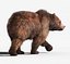 brown bear 2 fur 3d model