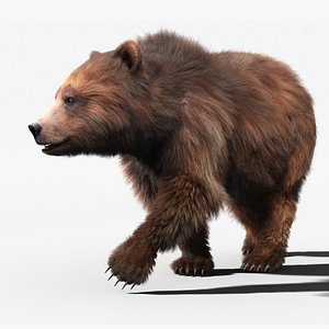 Brown Bear(2)(FUR)(ANIMATED)