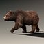 brown bear 2 fur 3d model