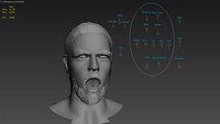 6 hyperreal rigged heads